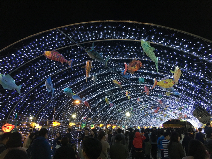 목포항구축제