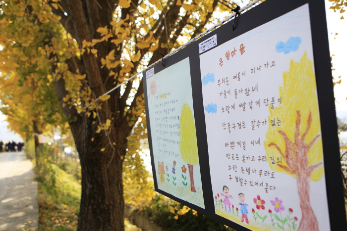 청라 은행마을 (보령)