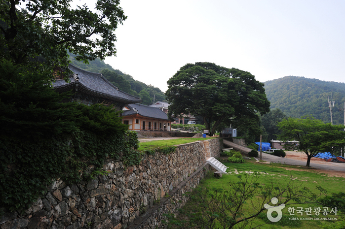 청련사(강화)