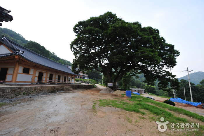 청련사(강화)