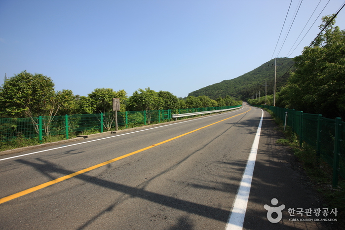 거제 학동리 동백나무 숲 및 팔색조 번식지