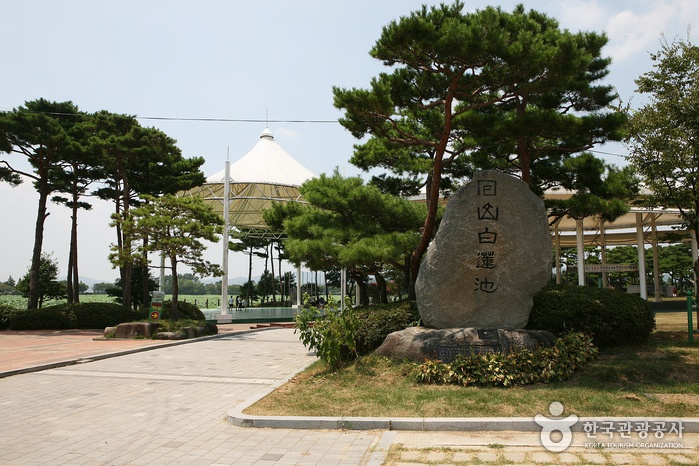 무안회산백련지