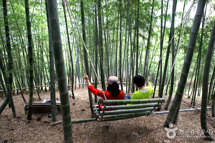 거제맹종죽테마공원