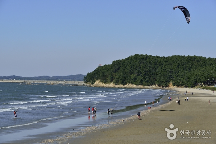 춘장대해수욕장