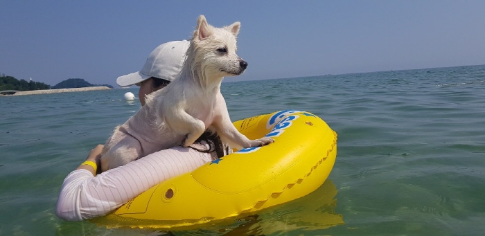 멍비치
