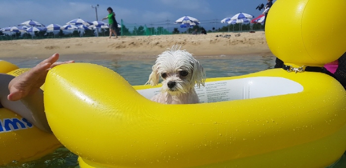 멍비치