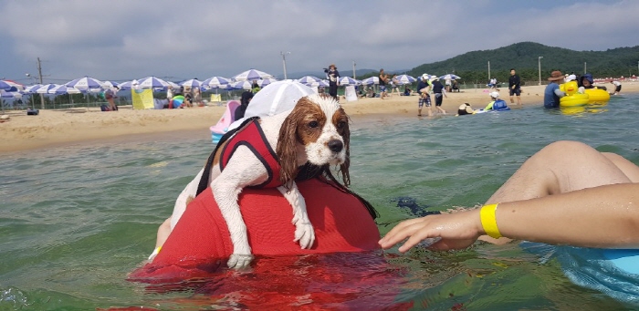 멍비치