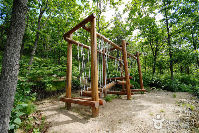 경상북도수목원