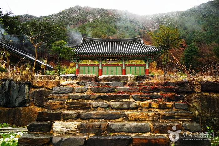 양양 진전사지 삼층석탑