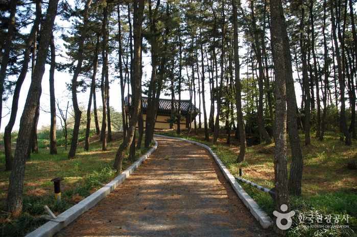 양양동해신묘지