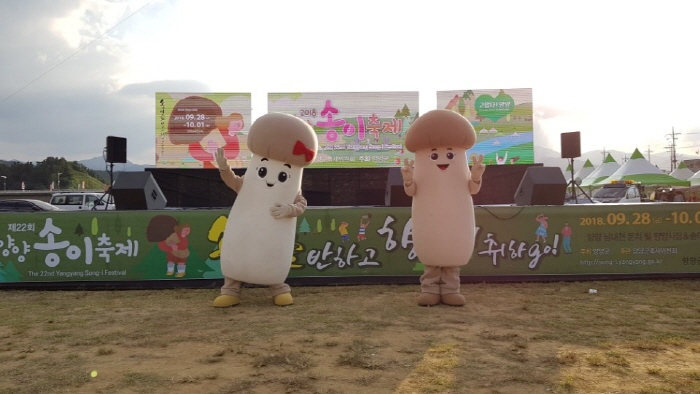 양양송이축제