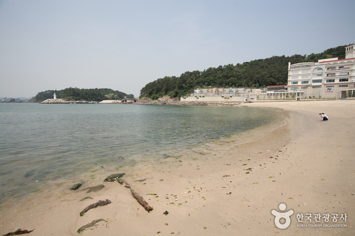 어촌 마을에서 보내는 여름향기