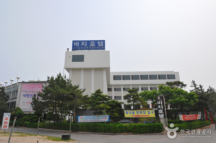 경포 비치 관광 호텔