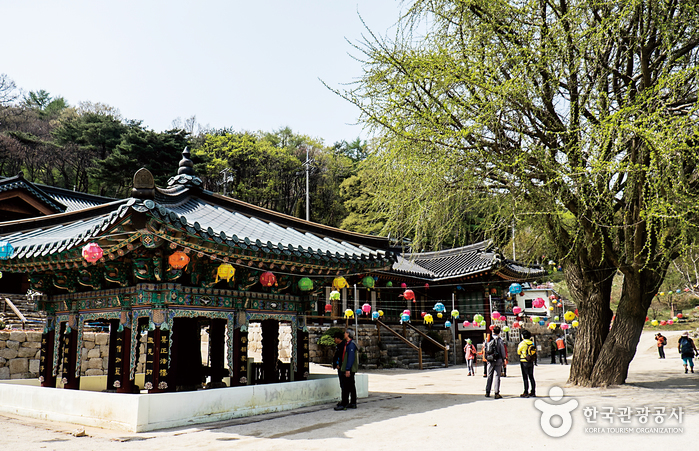 백련사(강화)