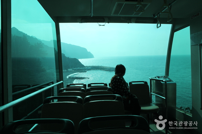 태하향목 관광모노레일