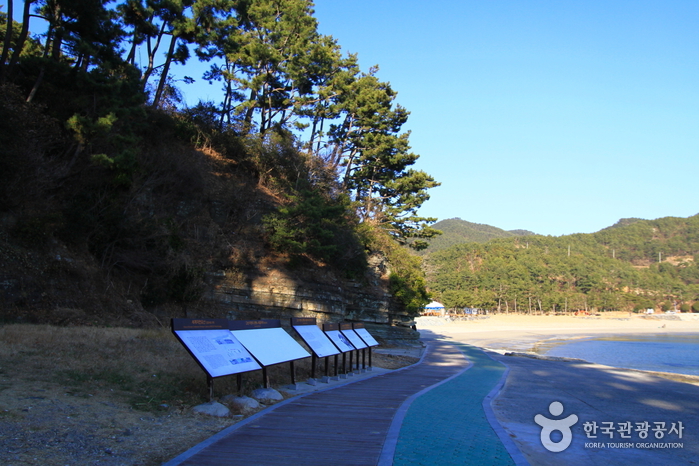 고성 덕명리 공룡과 새발자국 화석 산지