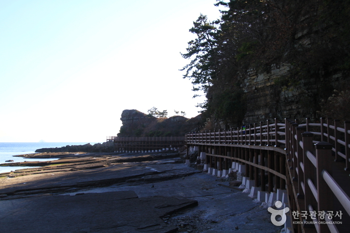 고성 덕명리 공룡과 새발자국 화석 산지