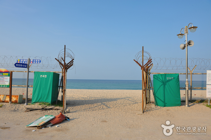 연곡해변(연곡해수욕장)