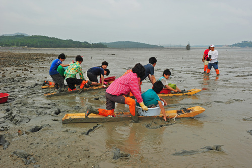 고흥 안남어촌체험마을