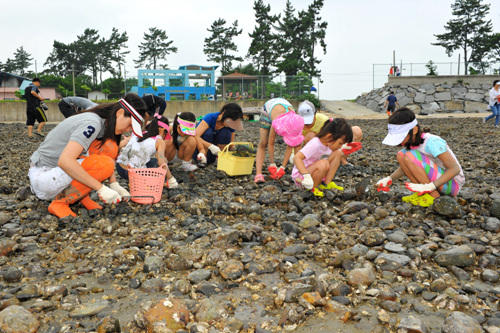 고흥 안남어촌체험마을