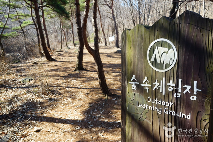 국립 용현자연휴양림