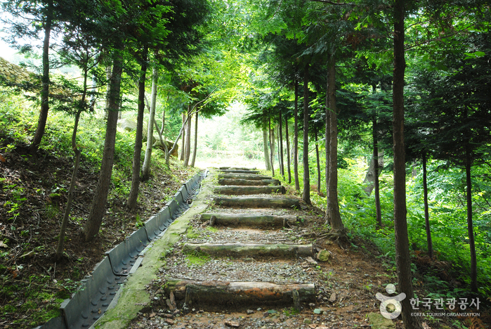 국립 천관산자연휴양림