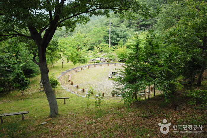 국립 천관산자연휴양림