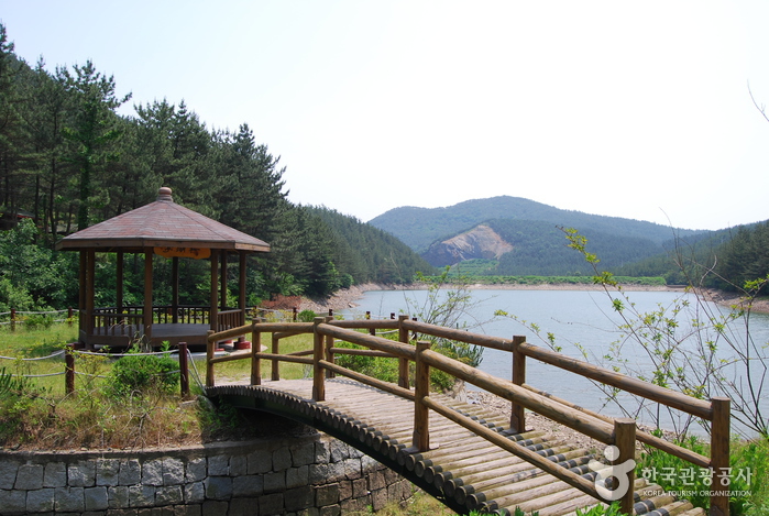국립 희리산해송자연휴양림