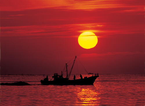 영덕 해맞이 '경북대종 타종식'