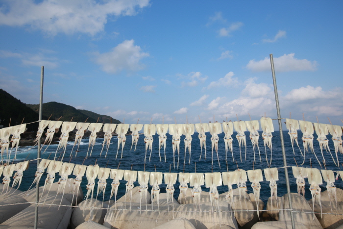 영덕 해안도로 드라이브