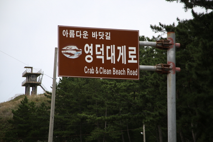 영덕 해안도로 드라이브