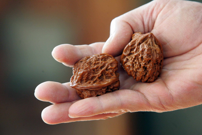 귀족호도박물관