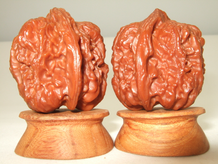 귀족호도박물관