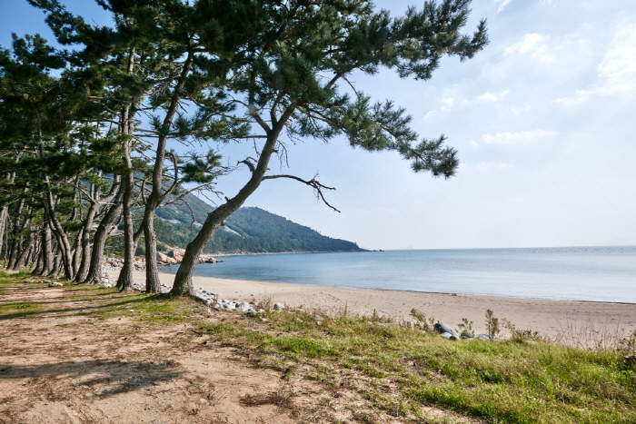금곡해수욕장