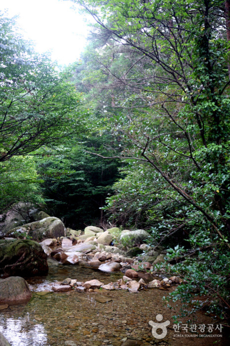 금릉경포대