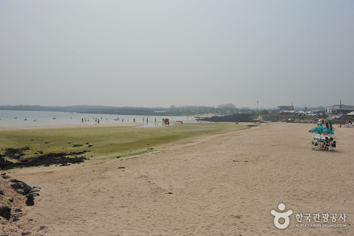 하고수동해변
