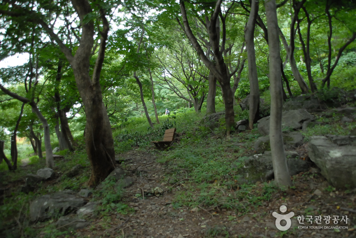 오서산