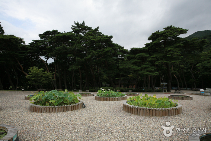 보경사