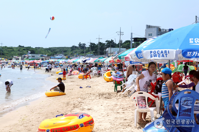 오징어맨손잡기체험 및 구룡포 해변축제
