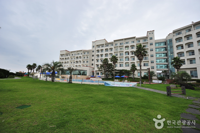 금호리조트 제주