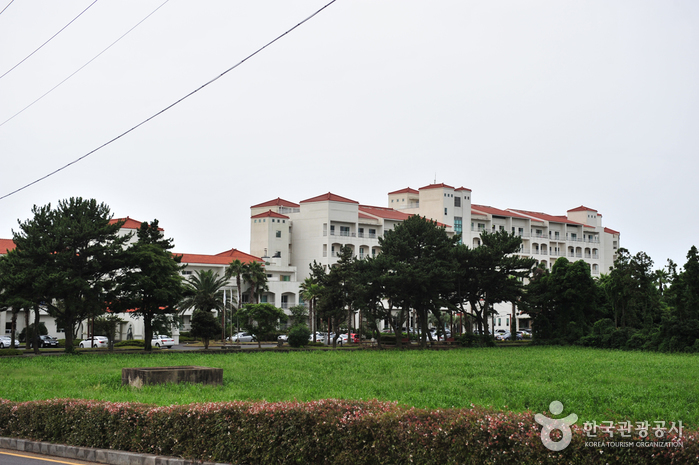 금호리조트 제주