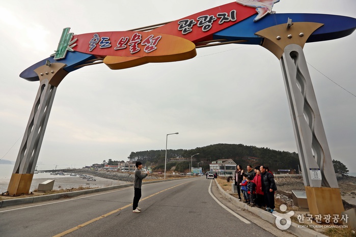 보령 해수욕장 관광특구