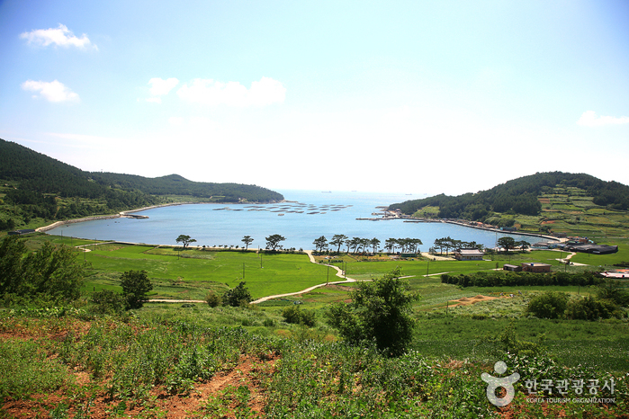 완도군 청산도 [슬로시티]