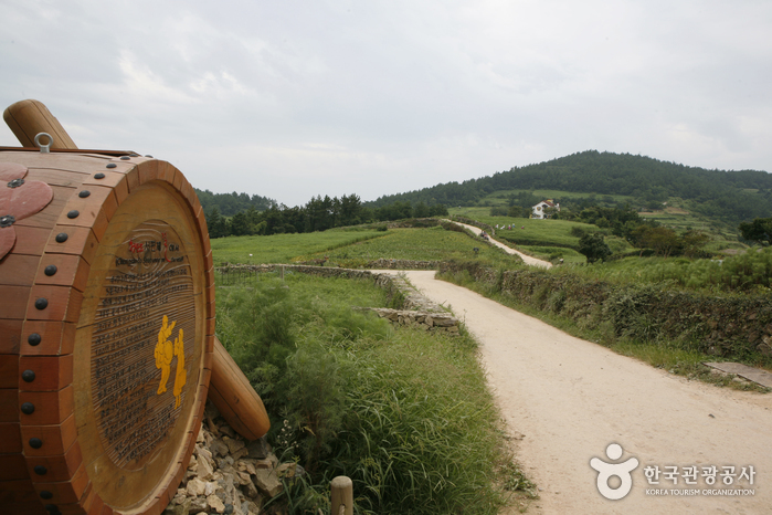 완도군 청산도 [슬로시티]