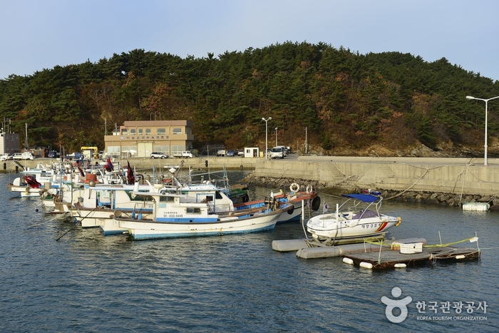 학암포항