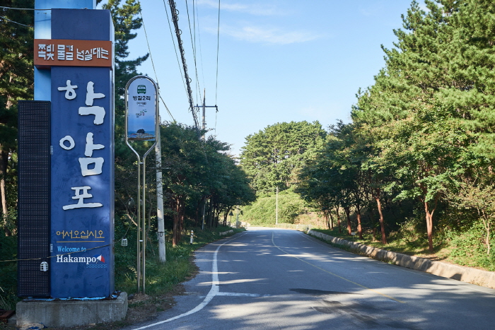 학암포해수욕장