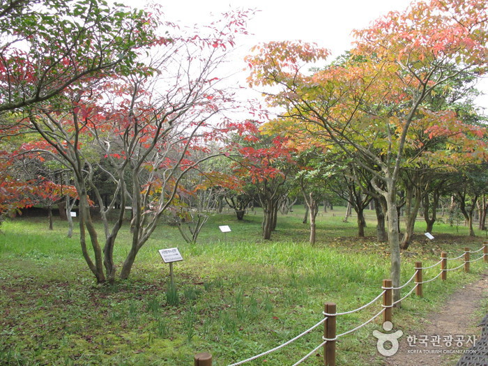 한라수목원