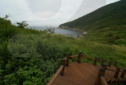 외연도
