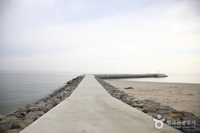 봉평해수욕장 (바다낚시)