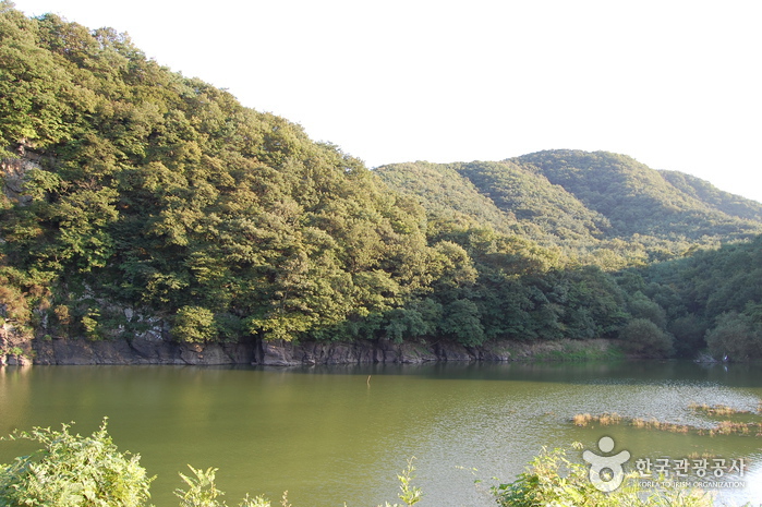 울주 대곡리 반구대 암각화